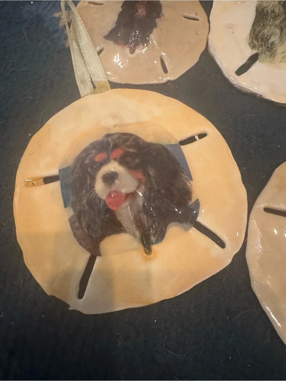 Handcrafted Small Pet real Sand Dollar Ornaments with Dog Artwork - Tan
